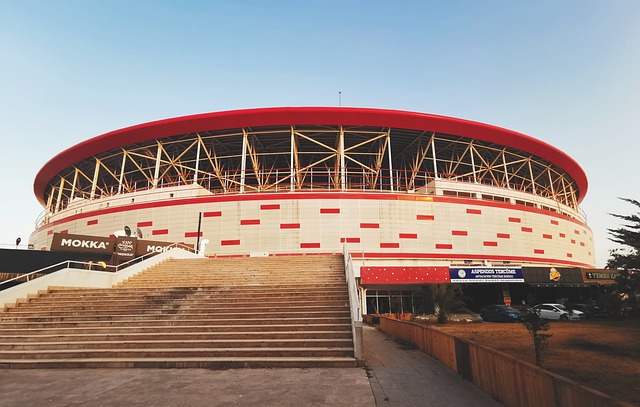 精彩的表现 精彩的表现