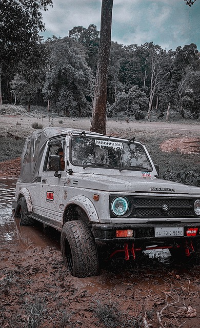 教训和前锋 教训和前锋