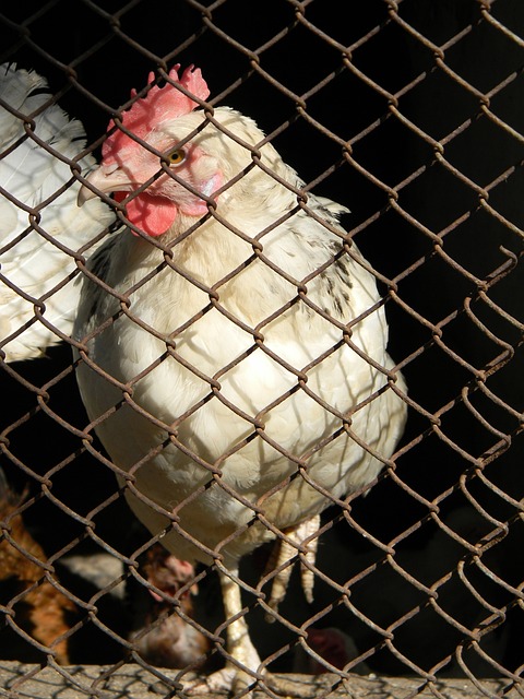 不断提升自 不断提升自