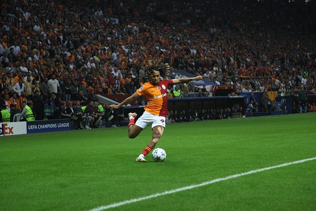 子网球公开 子网球公开