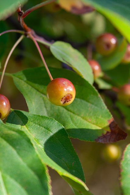 在关键时刻 在关键时刻