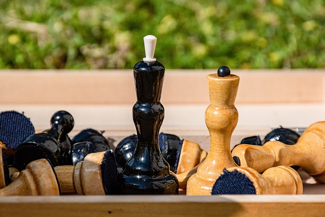 许多体育评 许多体育评