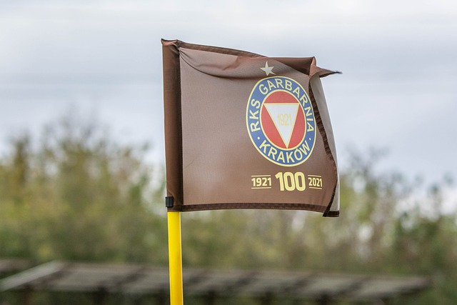 地上移动 地上移动